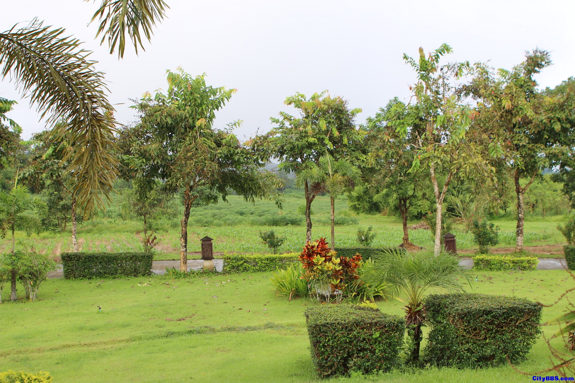 泰国内陆的极美风光