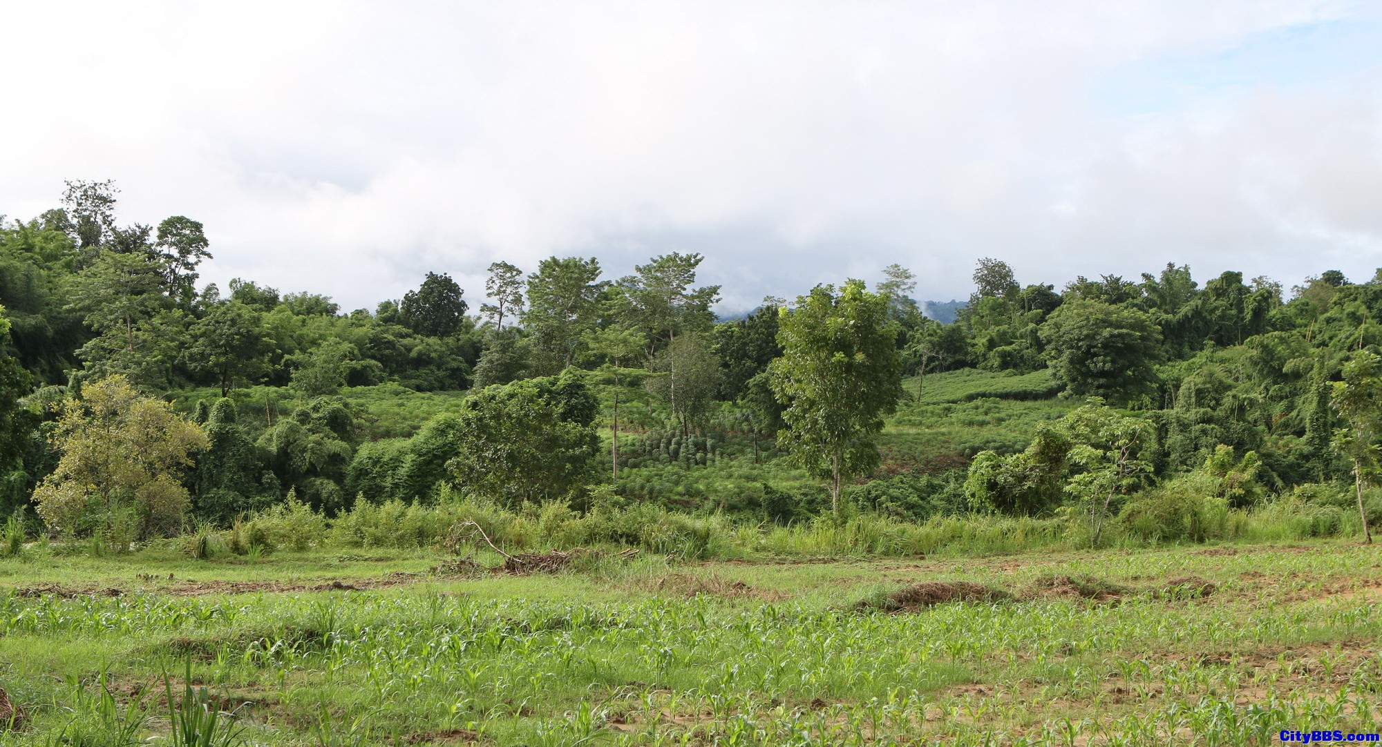 泰国内陆的极美风光