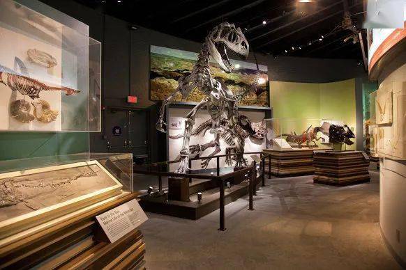 FindingSchool,学校的古生物博物馆 FindingSchool,学校的古生物博物馆