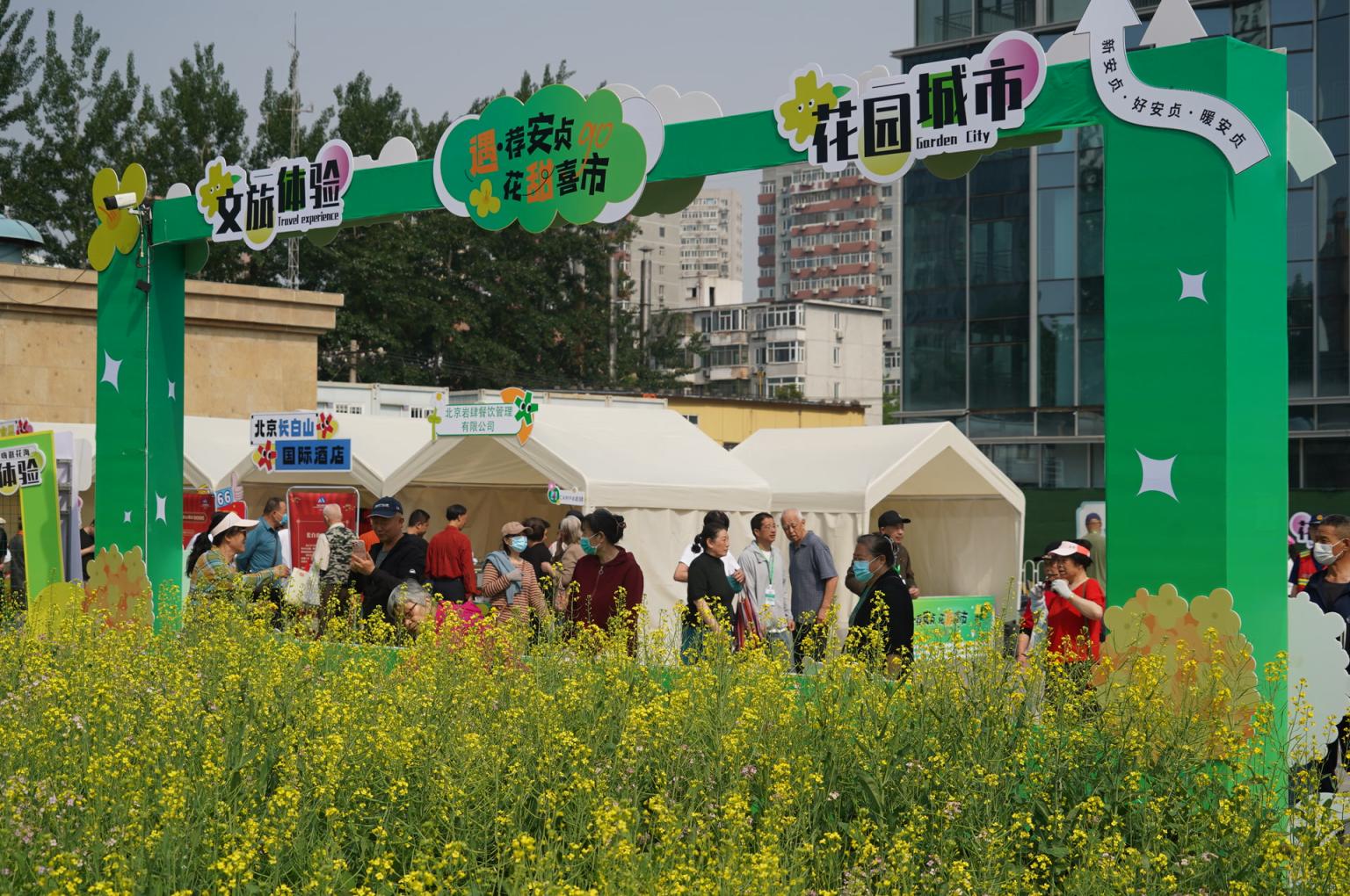 安贞拾光主题广场的油菜花市集 安贞拾光主题广场的油菜花市集