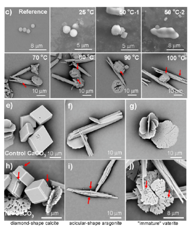 烧水的过程中微塑料与碳酸钙结合后沉淀 烧水的过程中微塑料与碳酸钙结合后沉淀