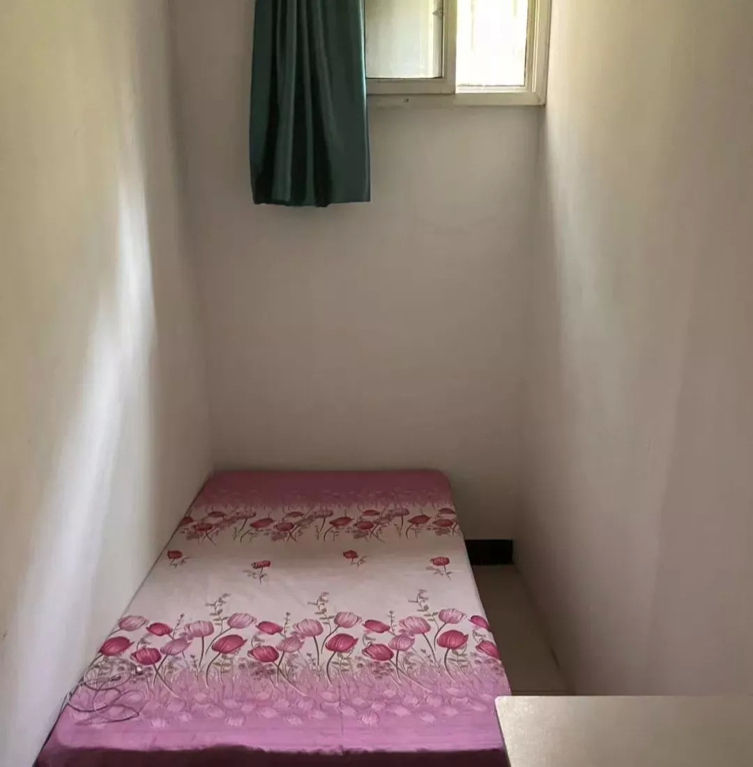 半地下室里的单间  半地下室里的单间