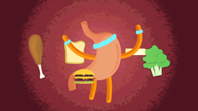 减肥的尽头是养好代谢 减肥的尽头是养好代谢