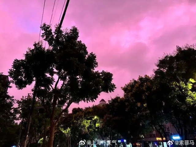 不少网友晒出台风“贝碧嘉”到来前的紫色天空 不少网友晒出台风“贝碧嘉”到来前的紫色天空