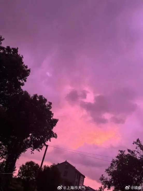 不少网友晒出台风“贝碧嘉”到来前的紫色天空 不少网友晒出台风“贝碧嘉”到来前的紫色天空