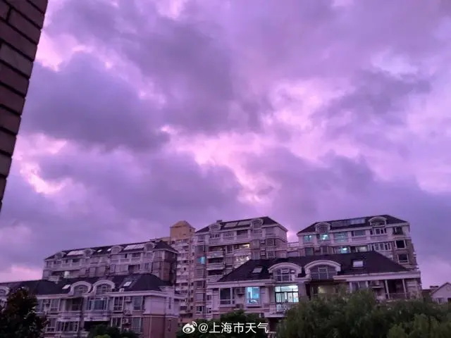 不少网友晒出台风“贝碧嘉”到来前的紫色天空 不少网友晒出台风“贝碧嘉”到来前的紫色天空