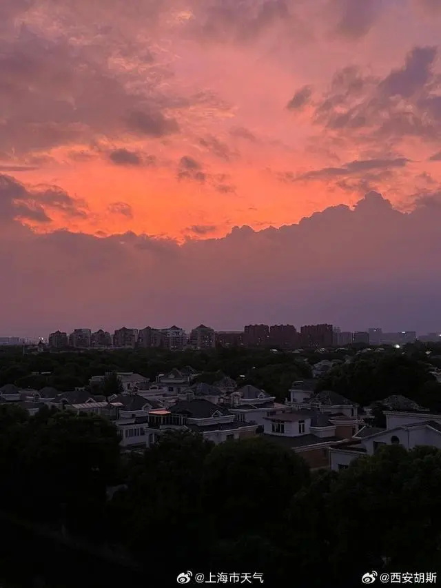 不少网友晒出台风“贝碧嘉”到来前的紫色天空 不少网友晒出台风“贝碧嘉”到来前的紫色天空