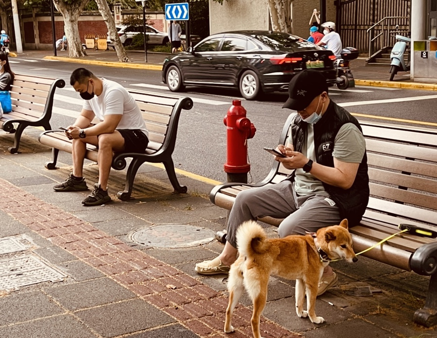 愚园路上的公共座椅