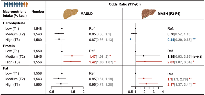膳食蛋白质在肝脏脂质积累中起到了重要作用 膳食蛋白质在肝脏脂质积累中起到了重要作用