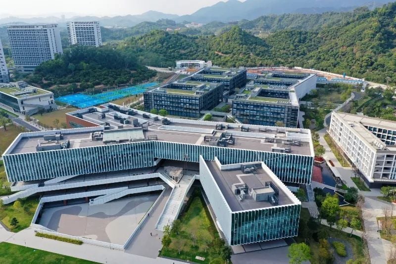 南方科技大学 南方科技大学