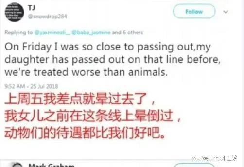 而英国人在网上这么说的：动物的待遇都比我们好吧