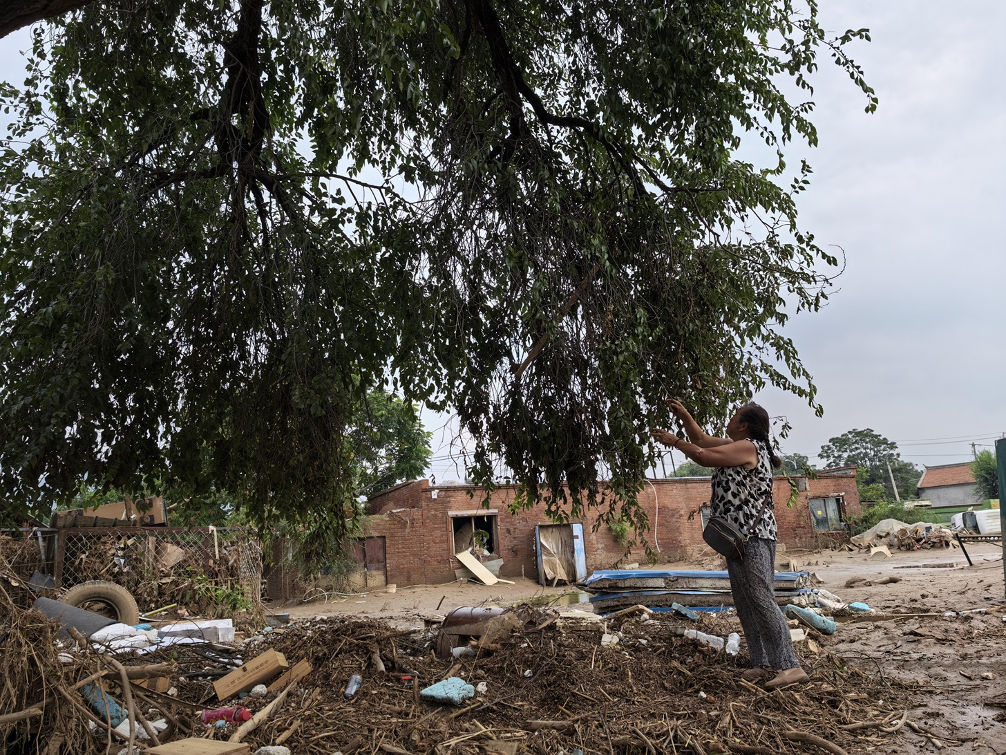 李大娘指着救了她一命的榆树,眼中满是感慨 李大娘指着救了她一命的榆树,眼中满是感慨