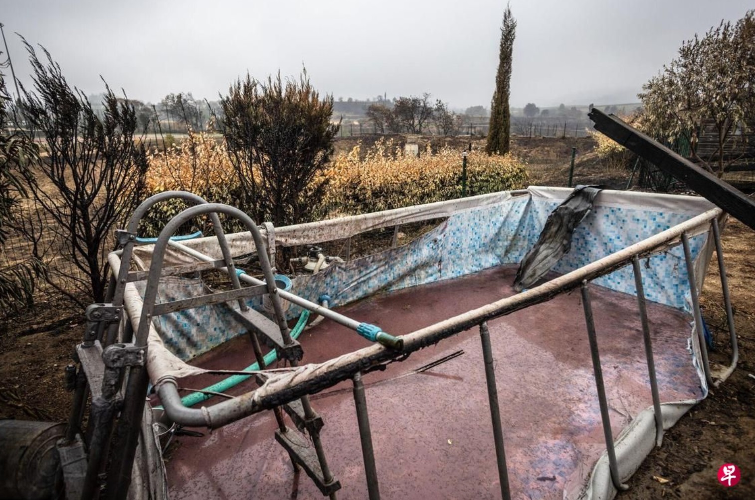 法国奥德省圣洛朗德拉卡布雷里塞一处住宅院子里的水池毁于林火 法国奥德省圣洛朗德拉卡布雷里塞一处住宅院子里的水池毁于林火