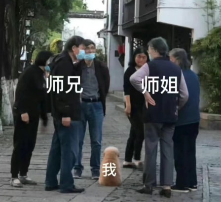 师兄师姐和我 师兄师姐和我