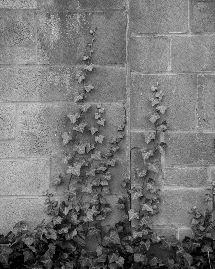 我们正在目睹一个科学超级大国的自我毁灭 我们正在目睹一个科学超级大国的自我毁灭