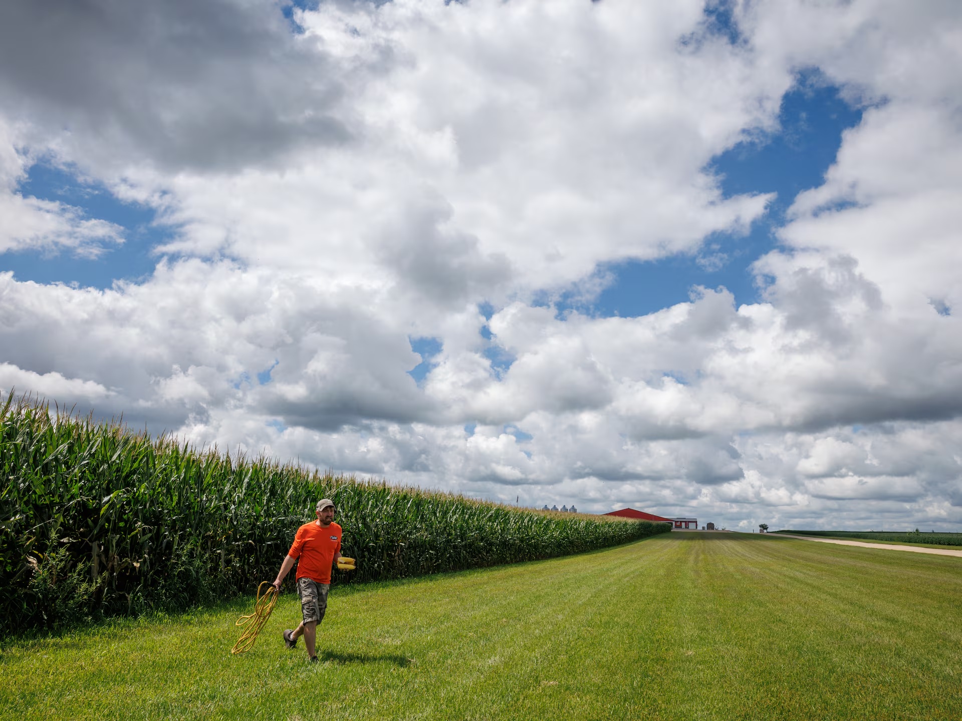 凯尔·温德兰(Kyle Wendland)在爱荷华州霍华德县搬运玉米样品和一根用来划分30英尺(约9米)田地的绳子 . ... 凯尔·温德兰(Kyle Wendland)在爱荷华州霍华德县搬运玉米样品和一根用来划分30英尺(约9米)田地的绳子 . ...